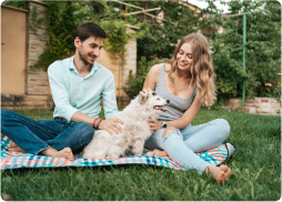 Why Adopting a Senior Pet Can Be Your Best Decision Ever