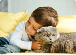 Unraveling the Mystery of Cat Allergies: Causes and Solutions