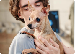 Rescue, Rehabilitate, Release: The Journey of Saving Inj..